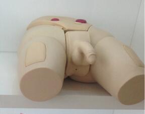 男性导尿模型.jpg