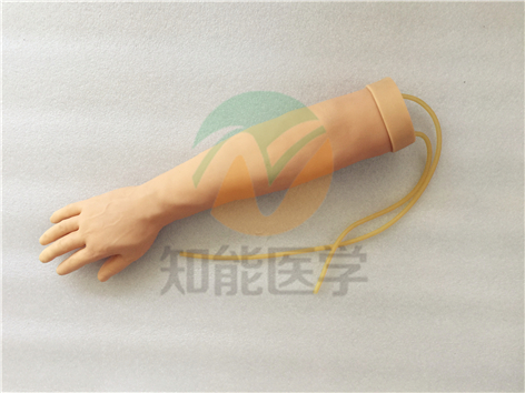 手臂静脉穿刺训练模型实拍图1