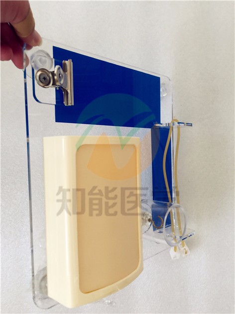 高级外科多技能训练模型