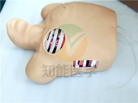 胸腔穿刺引流模型实拍图2