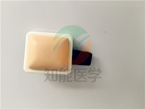 多功能肌肉注射模型实拍图2