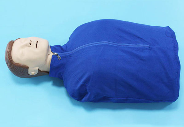 CPR模型