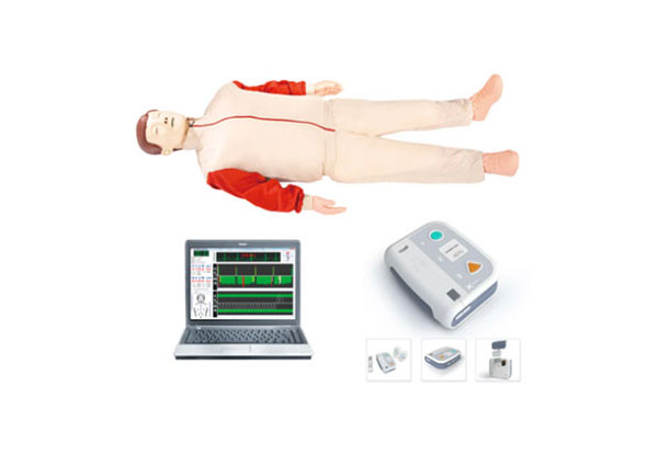 高级心肺复苏（AED除颤）模拟人
