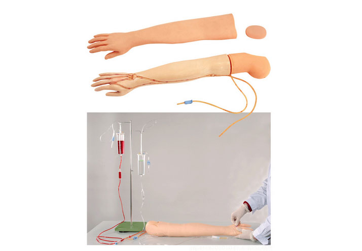 手臂静脉穿刺模型-多功能静脉输液手臂模型