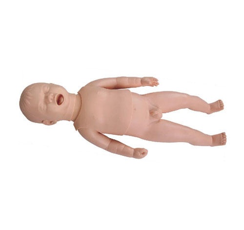 新生儿生长指标评定及护理训练模型图