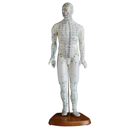 知能医学人体针灸模型（女性)　46cm BIX-Y1010