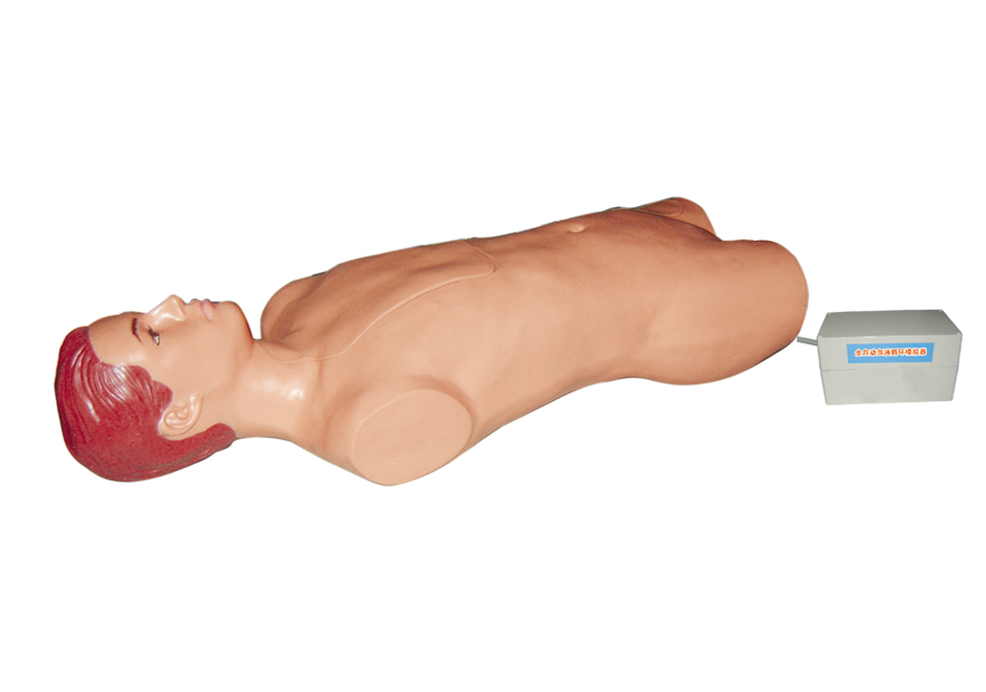 腹腔与股静脉穿刺电动模型图