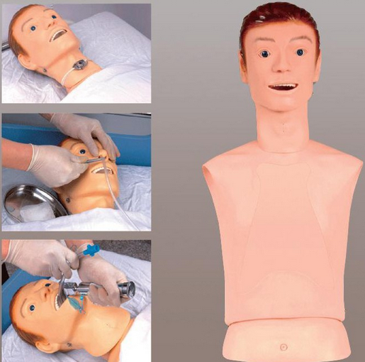鼻胃管模型-气管护理模型-气管插管训练模型-气管插管护理模型