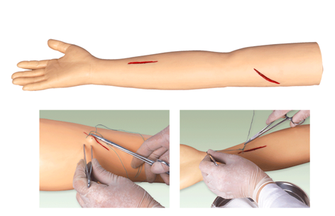 高级外科手臂缝合训练模型图