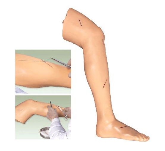 高级外科腿部缝合训练模型图