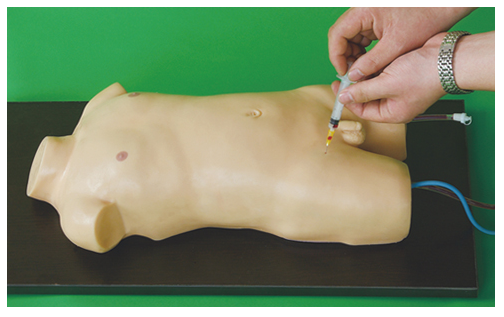 儿童股静脉与股动脉穿刺训练模型图