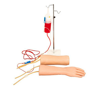手部、肘部组合式静脉（血）训练模型