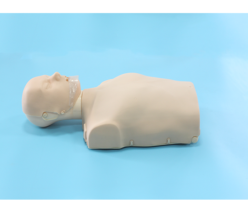 知能医学模型-简易电子版半身心肺复苏模拟人 BIX/CPR100A