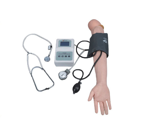 高级手臂血压测量训练模型图