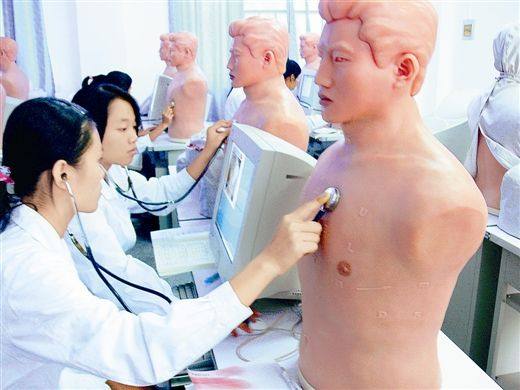 心肺听诊模型