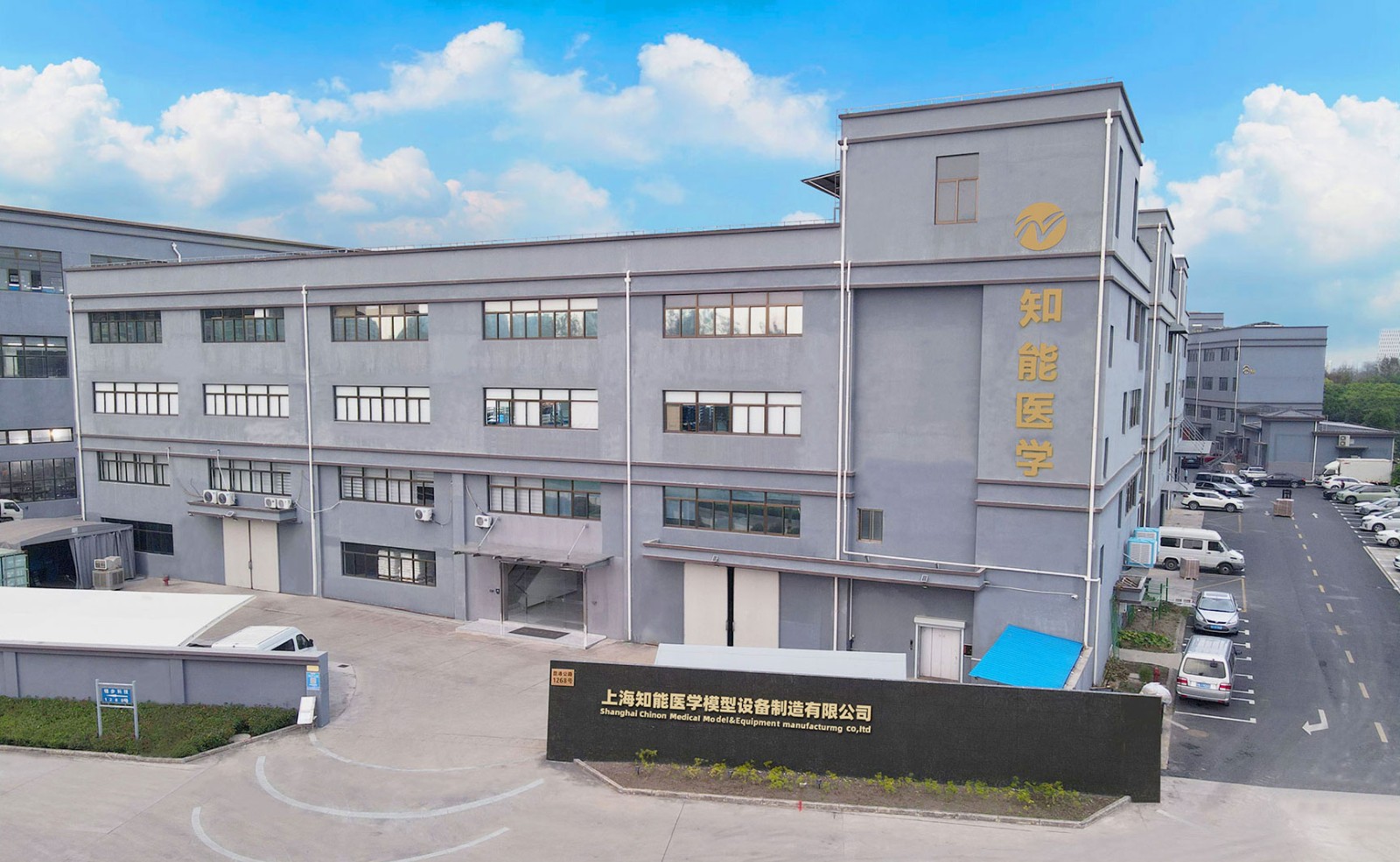 人体医学模型厂家