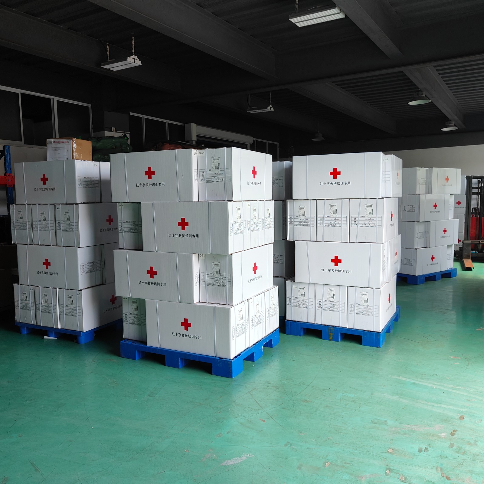 红十字会救护培训模型