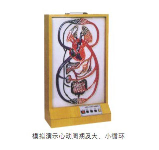 大、小循环电动模型